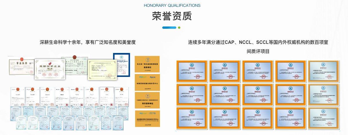 工作计划软件|工作日志软件|团队管理工具|团队协作软件|电商erp|知识管理软件